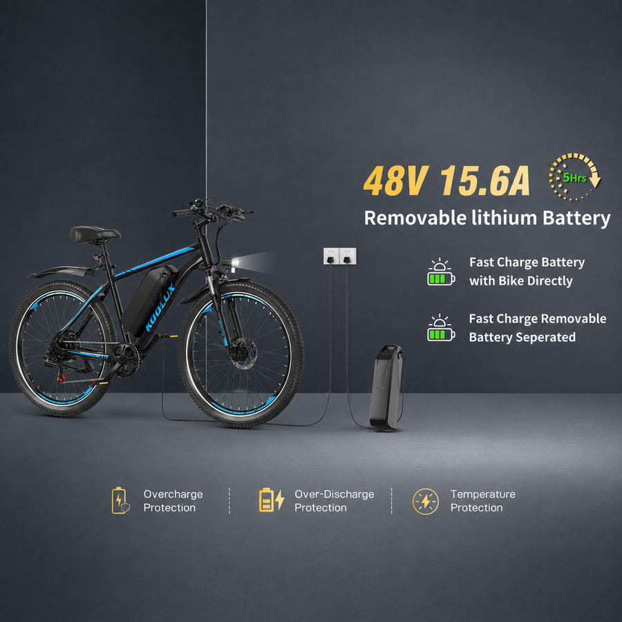 48V 15.6Ah Removable Battery