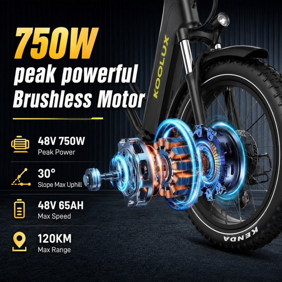 750W Motor sin cepillo