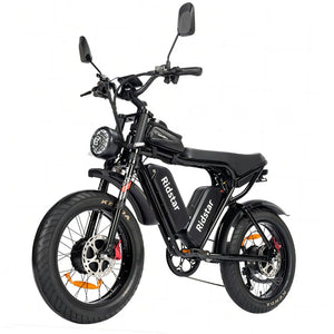 ridstar q20 pro e bike​
