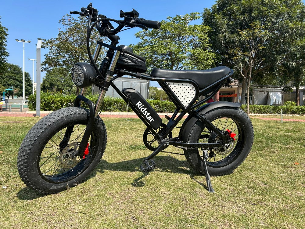 ridstar q20 off road electric bike
