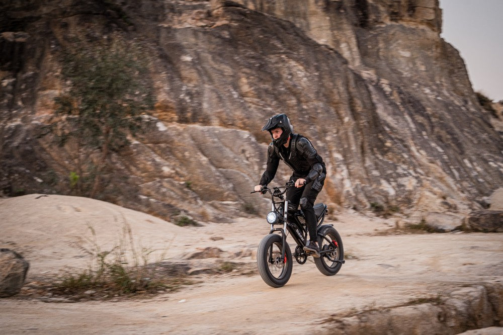 ridstar q20 fat tire electric bike​