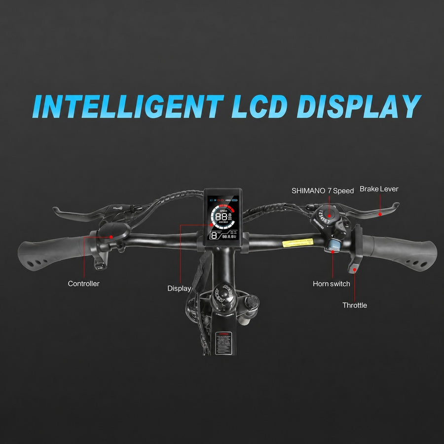 Smart LCD Riding Controls