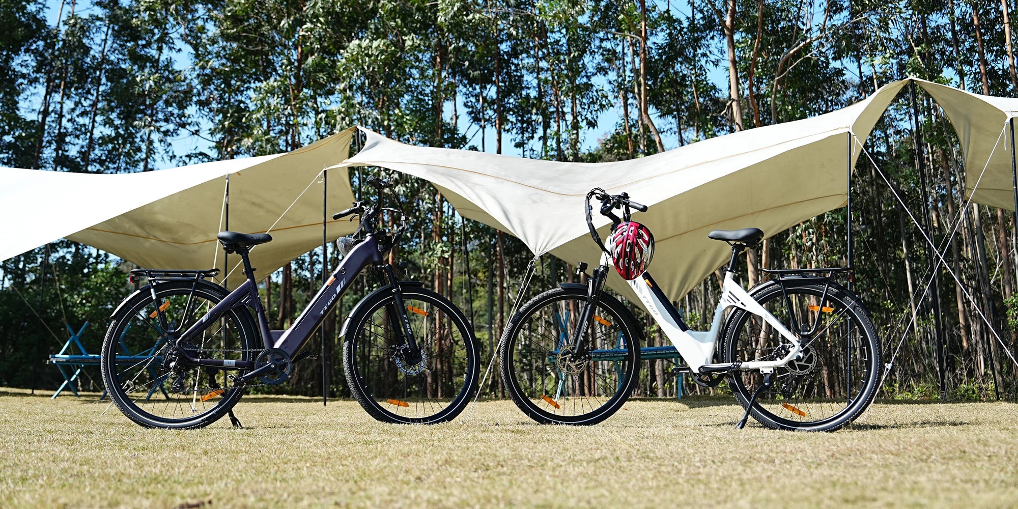 ttgo C3 SE ebike
