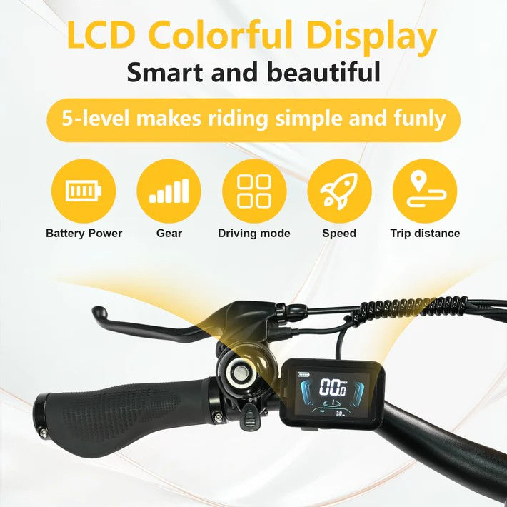 LCD Color Display