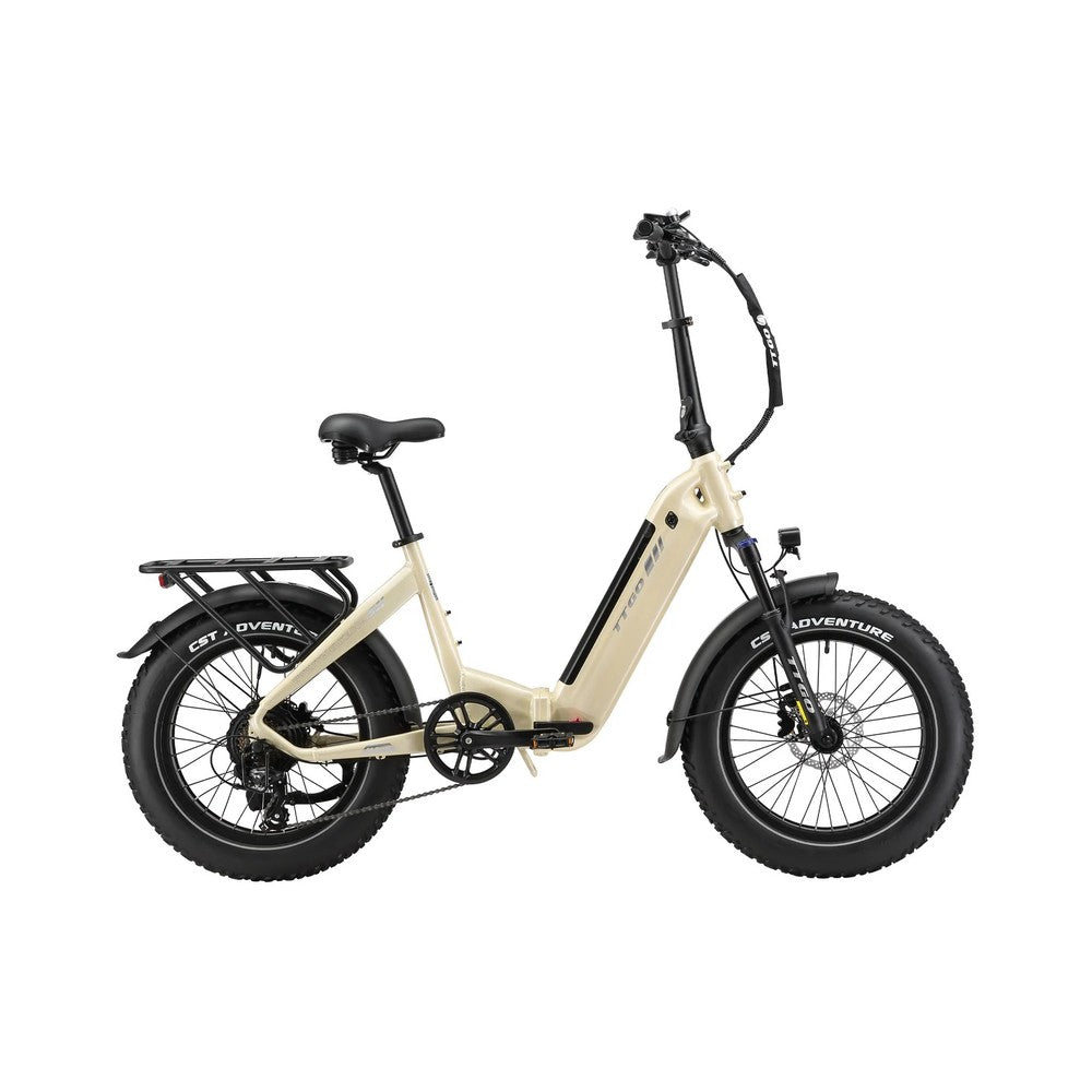 TTGO F6 Boost 20" Folding Fat Tire Electric Bike 250W 48V 18Ah