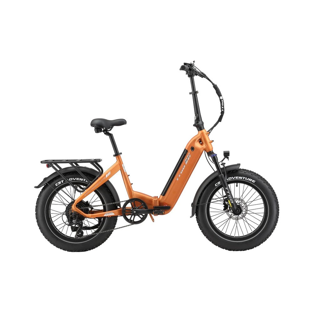 TTGO F6 Boost 20" Folding Fat Tire Electric Bike 250W 48V 18Ah