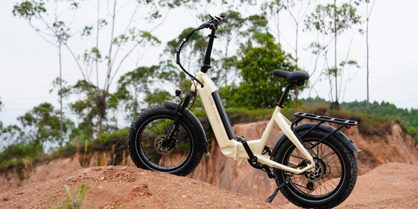 TTGO F6 Boost long range folding electric bike with 48V 18Ah battery