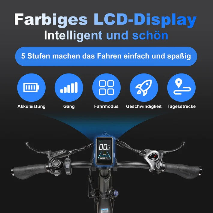 LCD Smart Display