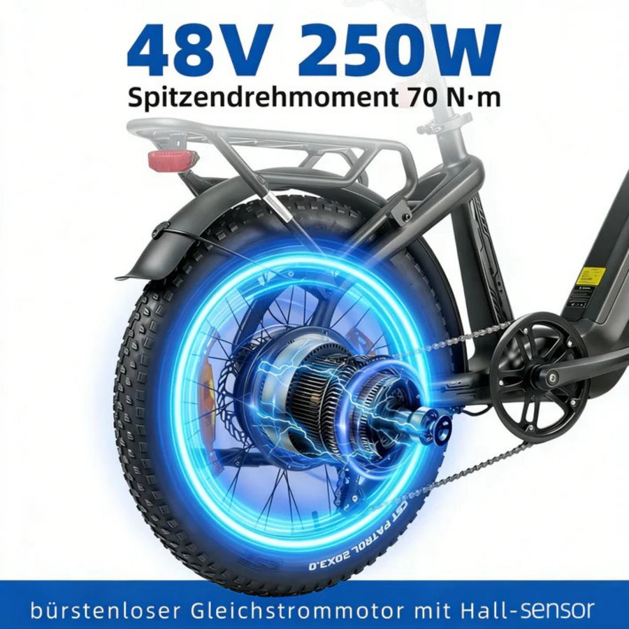 48V 250W Motor with 70Nm Torque