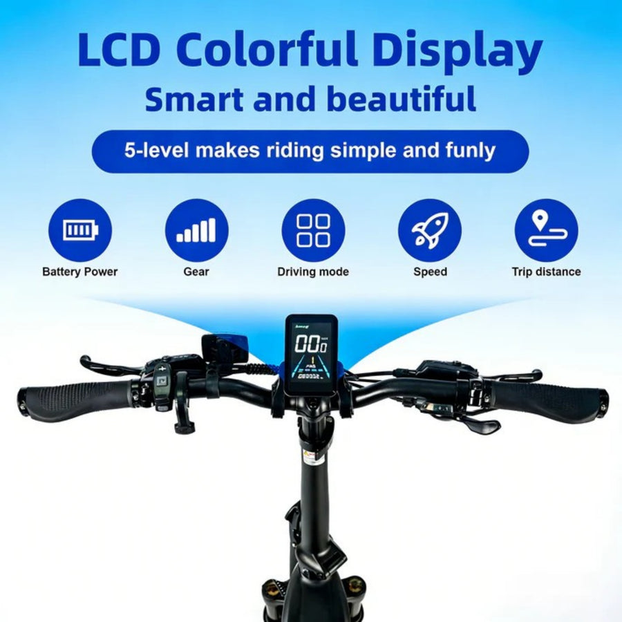 Color LCD Riding Display