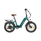 TTGO F8 20" Carbon Fiber Electric Bike 250W 48V 18Ah