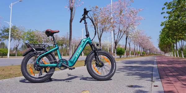 ttgo-f8-carbon-fiber-electric-bike